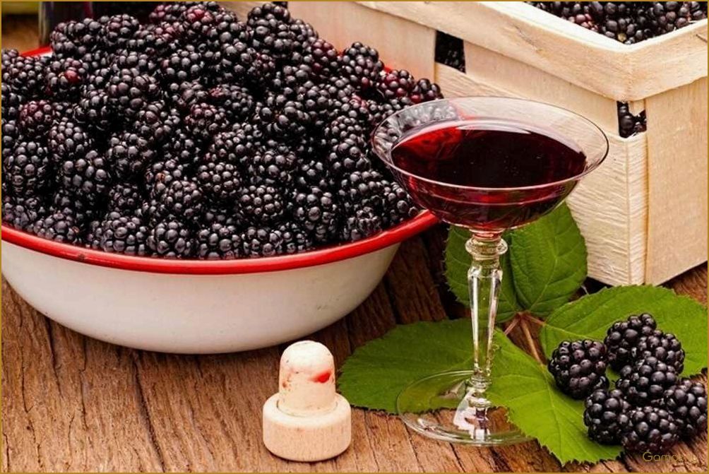 Вино из ежевики — рецепты приготовления, польза и особенности употребления