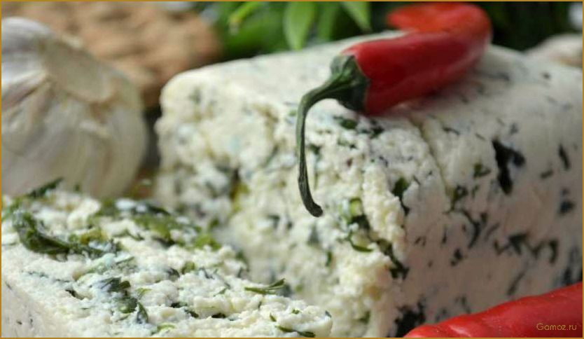 Ароматный домашний сыр с тмином и зеленью — рецепт, секреты приготовления и полезные свойства