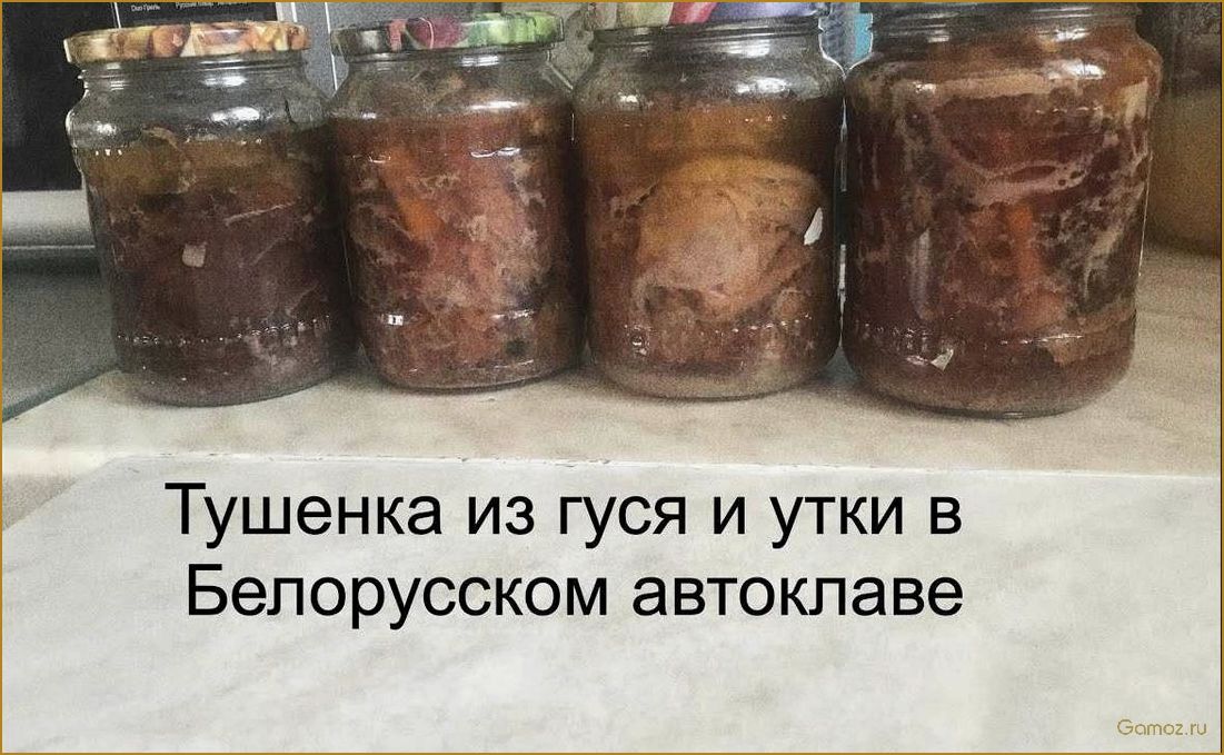 Тушенка из утки — нежное мясо и богатый вкус в каждом кусочке