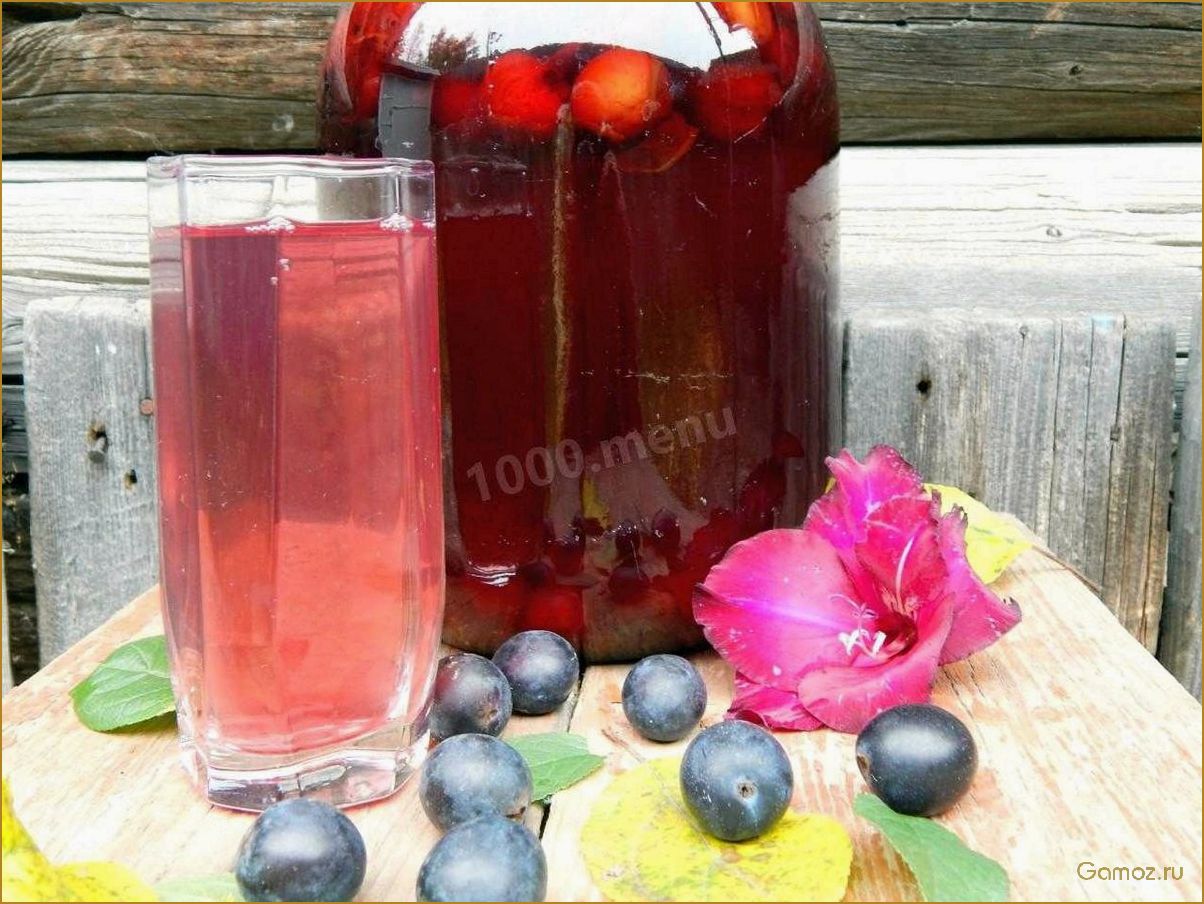 Как приготовить вкусный и полезный компот из терна для всей семьи