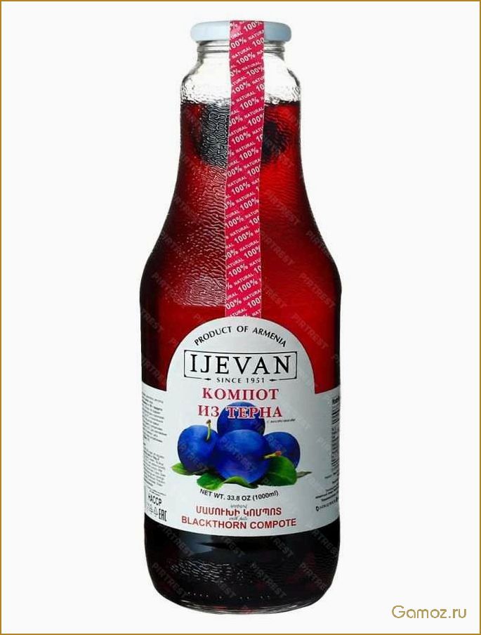 Как приготовить вкусный и полезный компот из терна для всей семьи