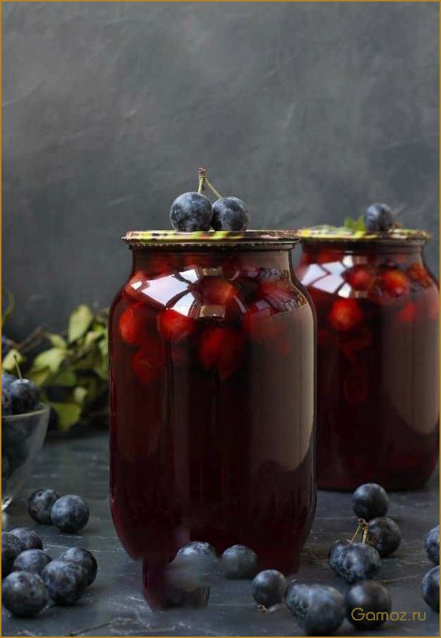 Как приготовить вкусный и полезный компот из терна для всей семьи