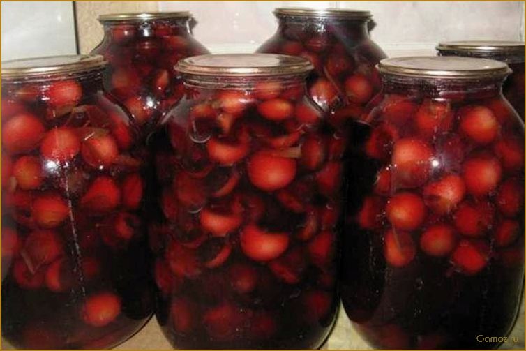 Как приготовить вкусный и полезный компот из терна для всей семьи