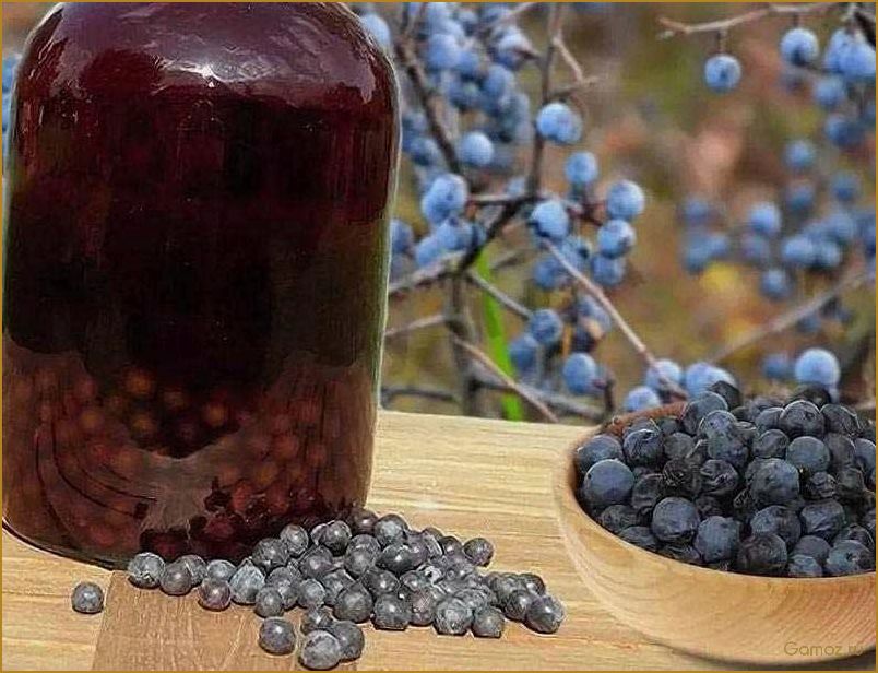 Как приготовить вкусный и полезный компот из терна для всей семьи