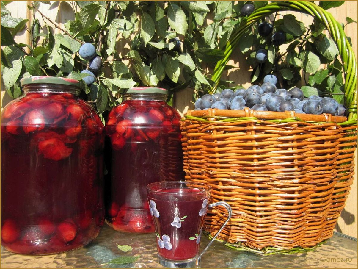 Как приготовить вкусный и полезный компот из терна для всей семьи