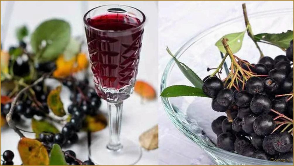 Как приготовить вкусную наливку в мультиварке — лучшие рецепты и секреты