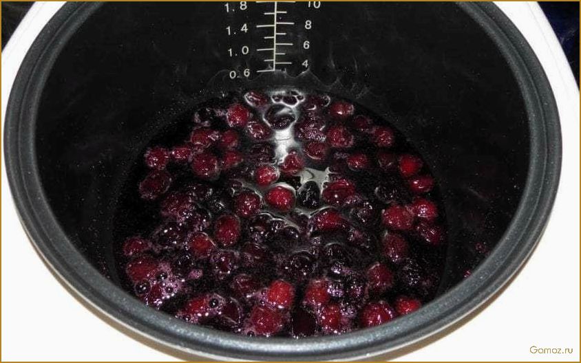 Как приготовить вкусную наливку в мультиварке — лучшие рецепты и секреты