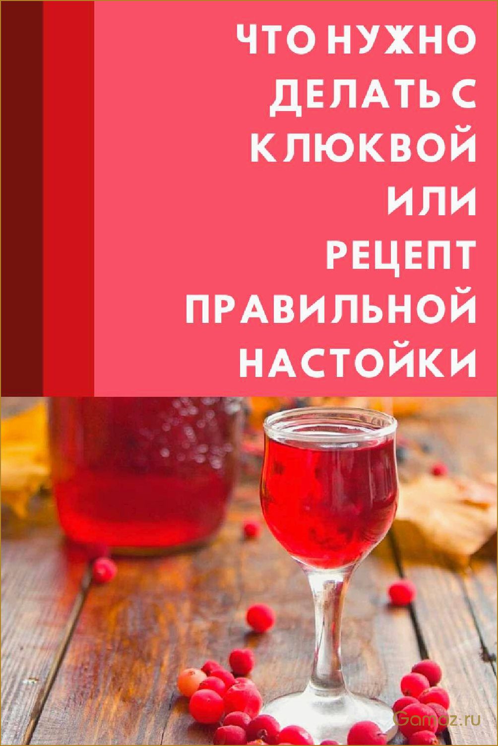 Как приготовить вкусную и ароматную настойку из клюквы на самогоне — лучший рецепт для настоящих гурманов