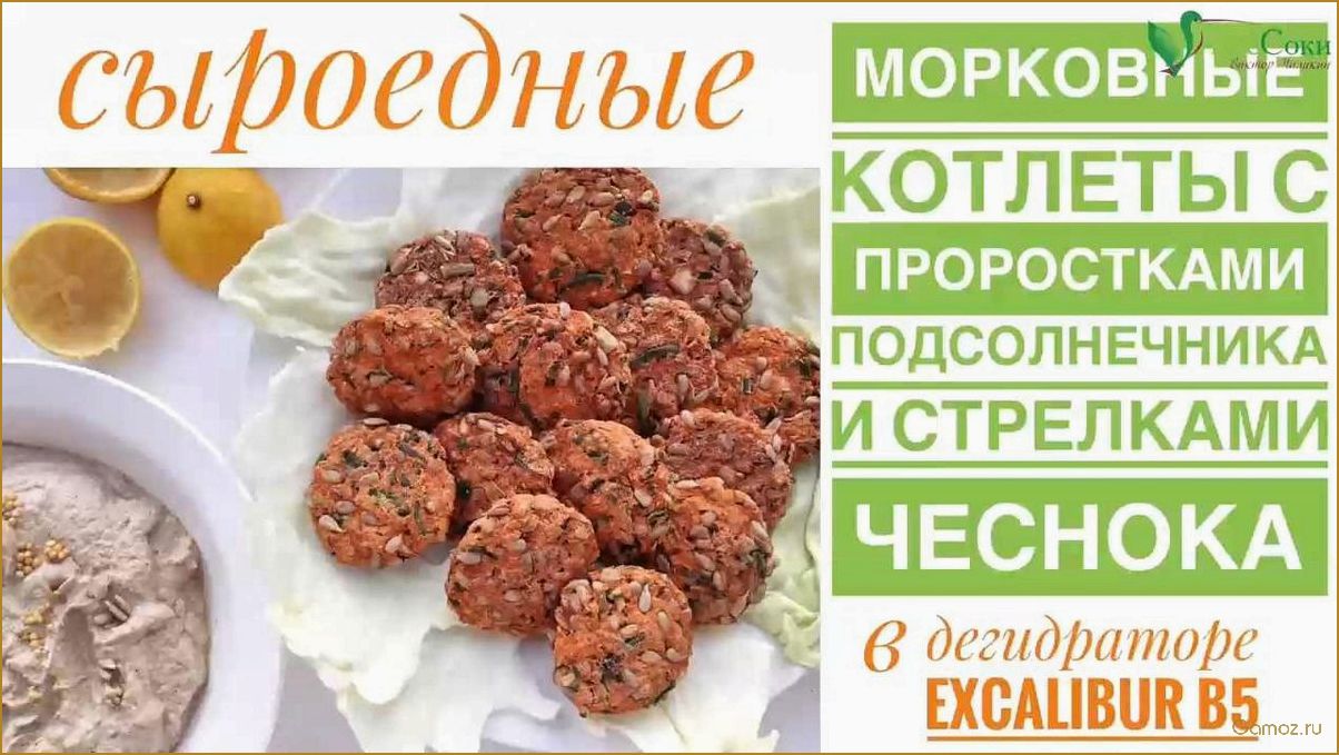 Сыроедческие котлеты — рецепты полезных и вкусных блюд для здорового питания