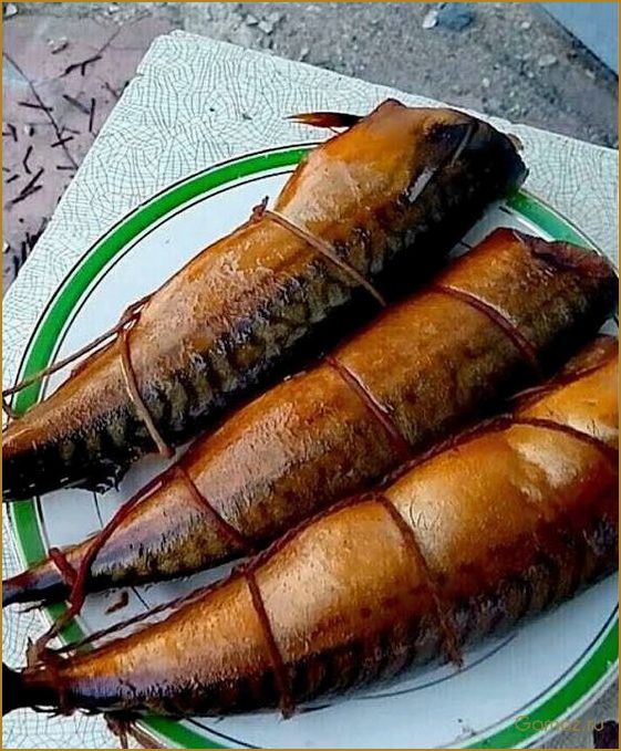(скумбрия, холодного, копчения, коптильне, секреты) Скумбрия холодного копчения в коптильне — секреты вкусного и полезного блюда