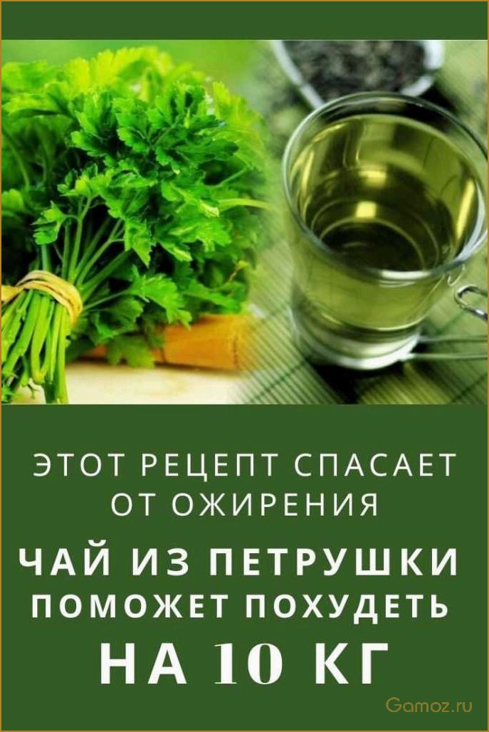 (полезные, свойства, рецепты, петрушки, укрепления) Полезные свойства и рецепты чая из петрушки для укрепления здоровья и похудения