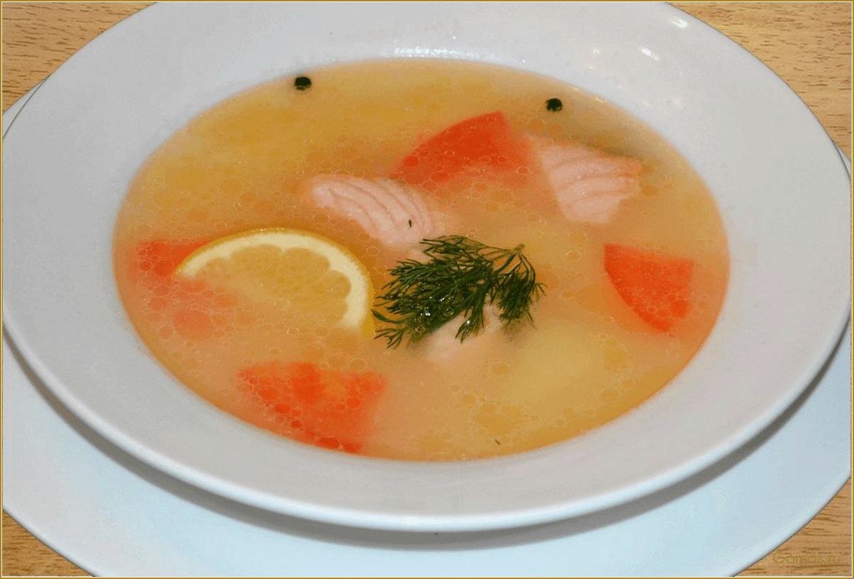 Рыбный бульон