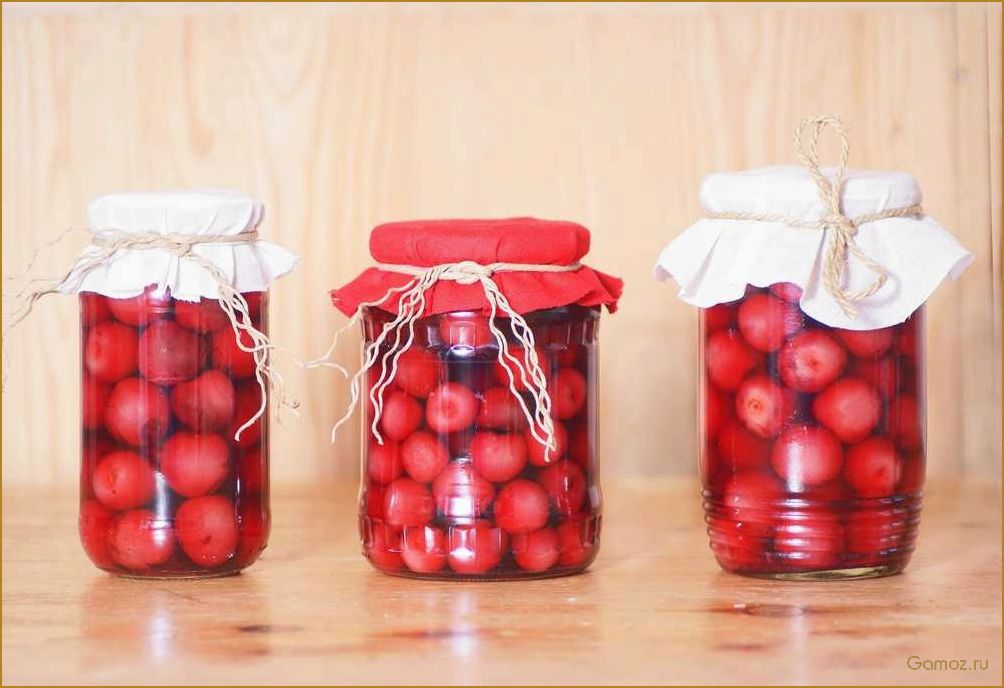 Секреты сохранения вкусной черешни на зиму без стерилизации