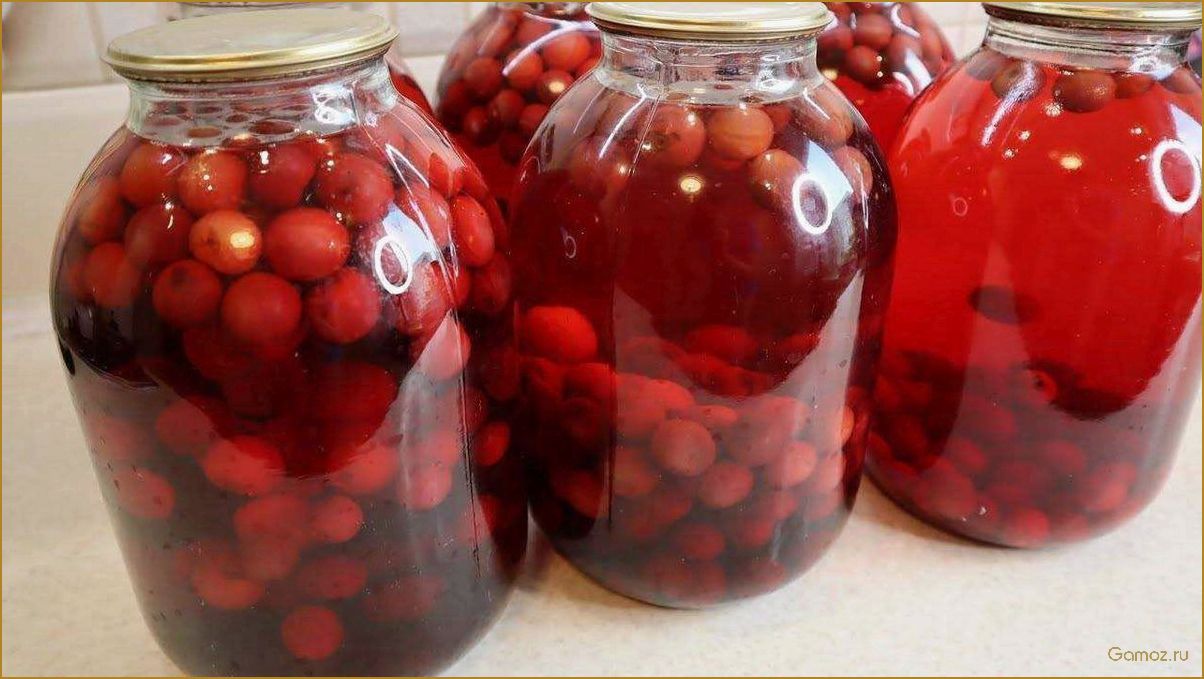 Секреты сохранения вкусной черешни на зиму без стерилизации