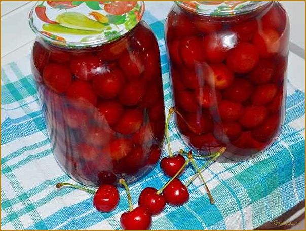 Секреты сохранения вкусной черешни на зиму без стерилизации