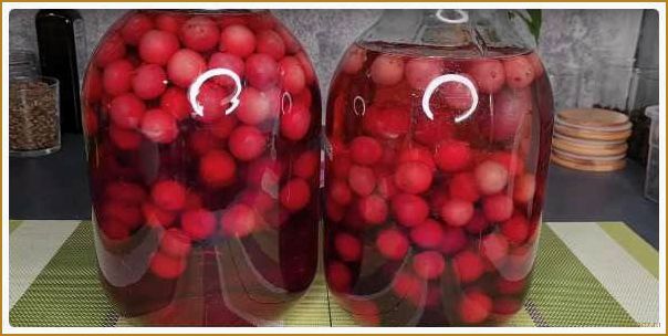 Секреты сохранения вкусной черешни на зиму без стерилизации