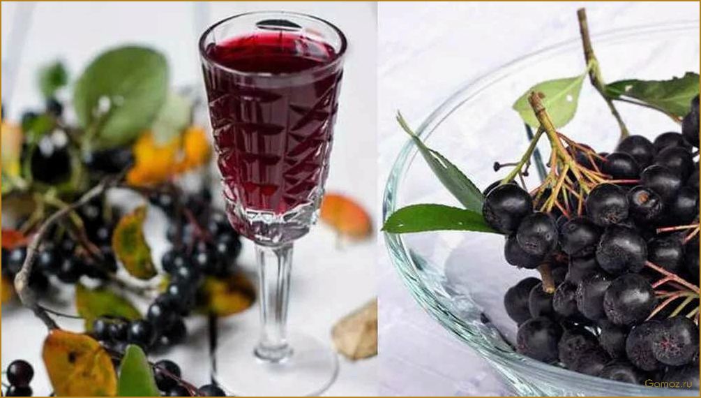 (черноплодка, коньяке, домашних, условиях, рецепты) Черноплодка на коньяке в домашних условиях — рецепты, секреты и советы