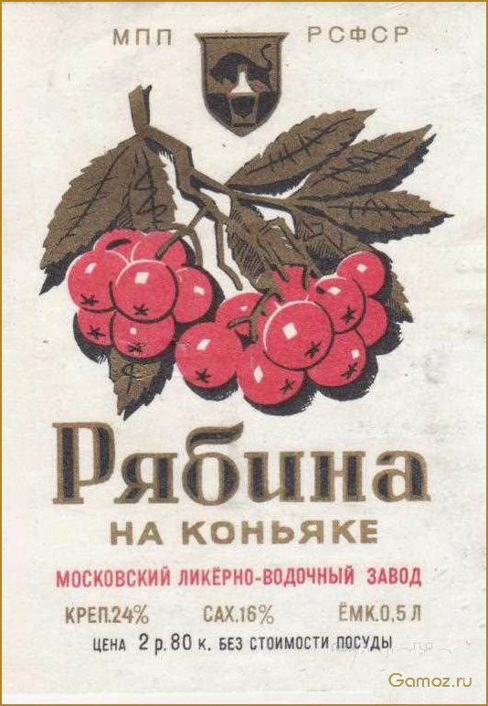 (черноплодка, коньяке, домашних, условиях, рецепты) Черноплодка на коньяке в домашних условиях — рецепты, секреты и советы