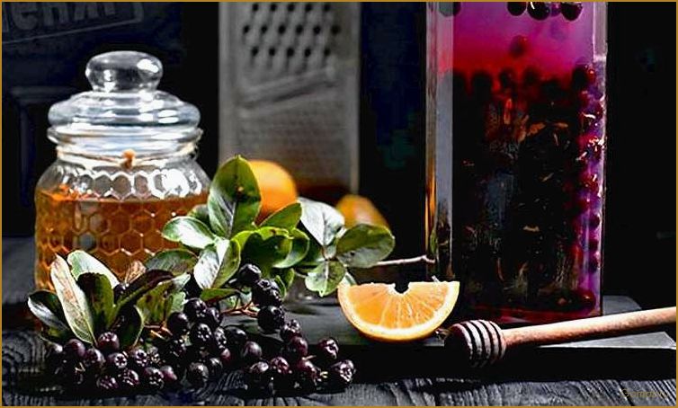 (черноплодка, коньяке, домашних, условиях, рецепты) Черноплодка на коньяке в домашних условиях — рецепты, секреты и советы