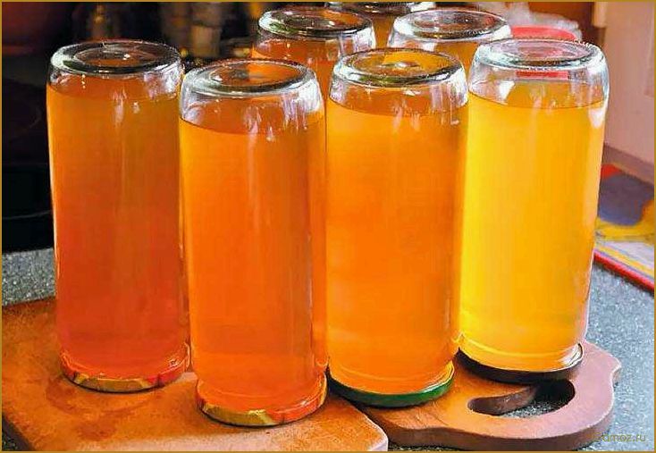 Как приготовить вкусный и полезный яблочный сок на зиму с помощью соковыжималки