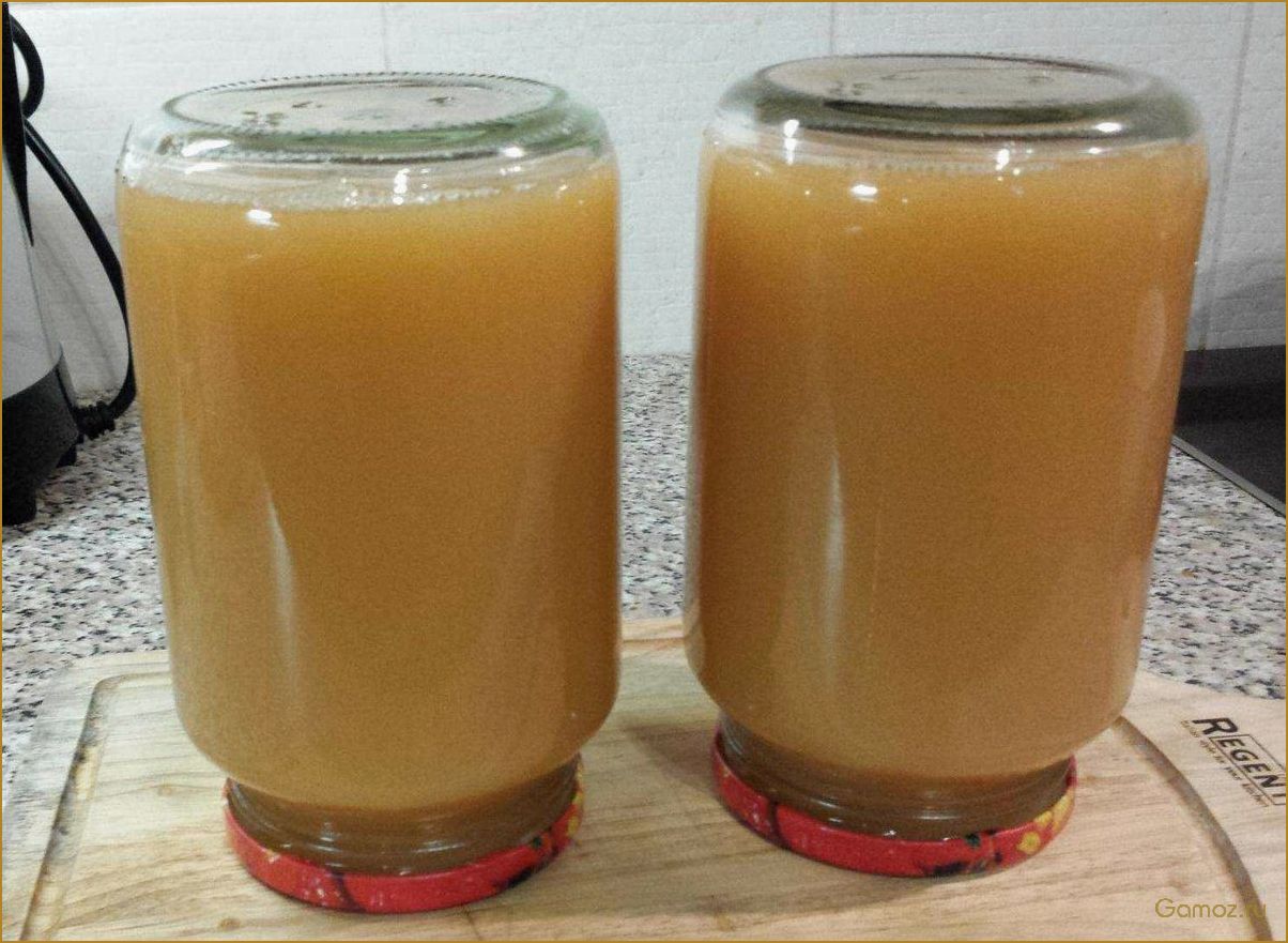 Как приготовить вкусный и полезный яблочный сок на зиму с помощью соковыжималки