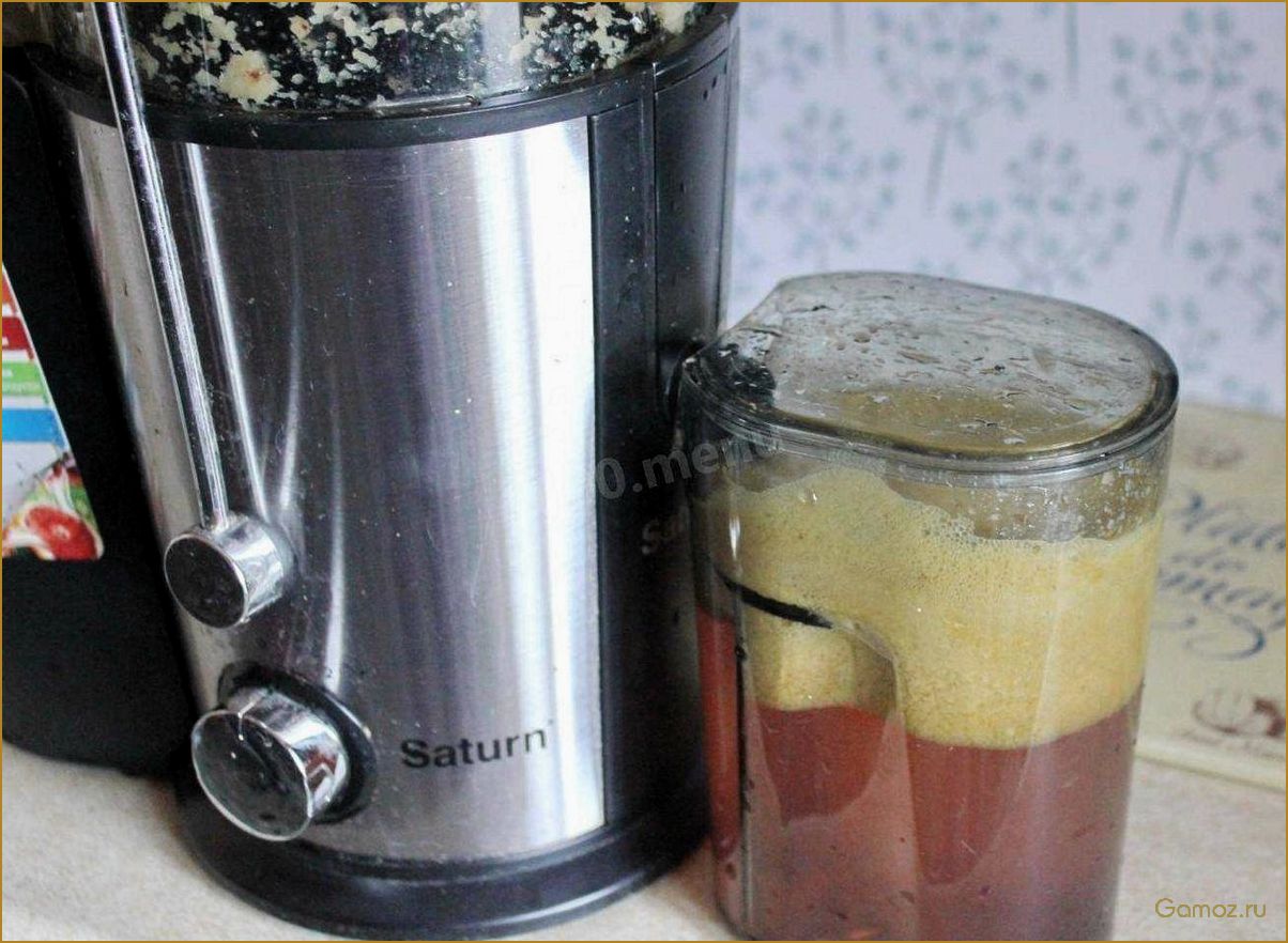 Как приготовить вкусный и полезный яблочный сок на зиму с помощью соковыжималки