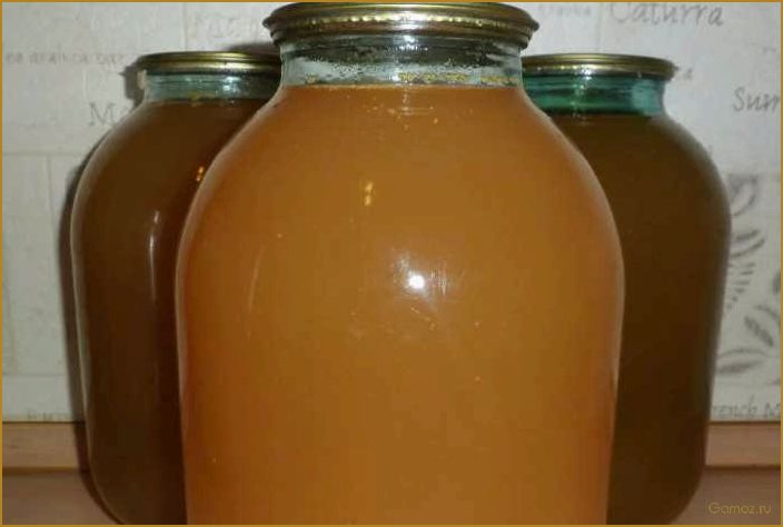 Как приготовить вкусный и полезный яблочный сок на зиму с помощью соковыжималки