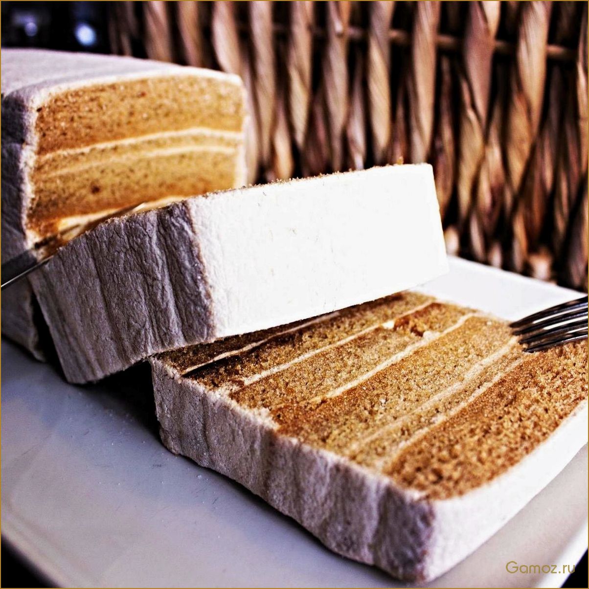 Рецепты приготовления и полезные свойства яблочной пастилы