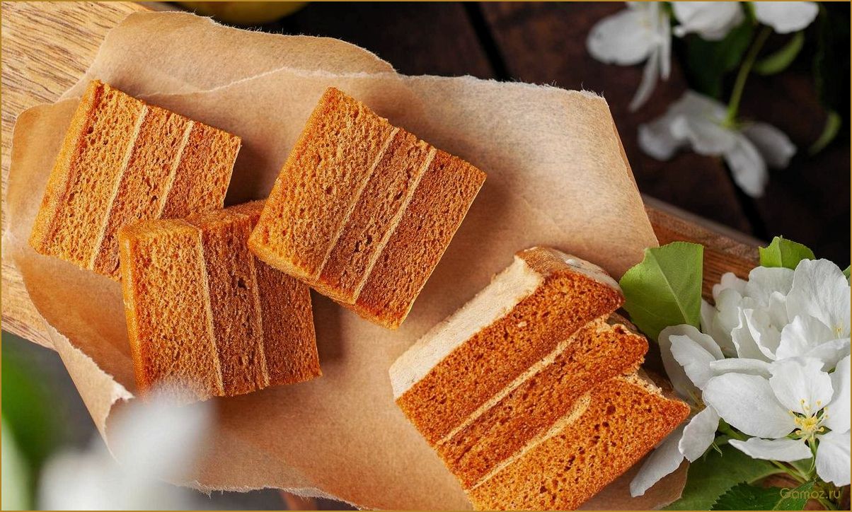 Рецепты приготовления и полезные свойства яблочной пастилы