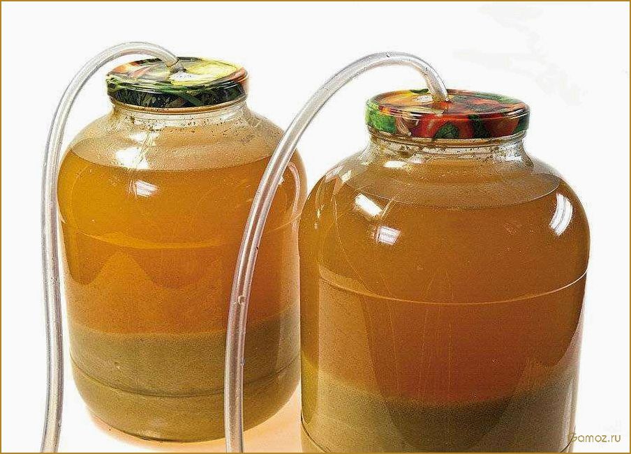 Как приготовить вкусное и ароматное яблочное вино в домашних условиях