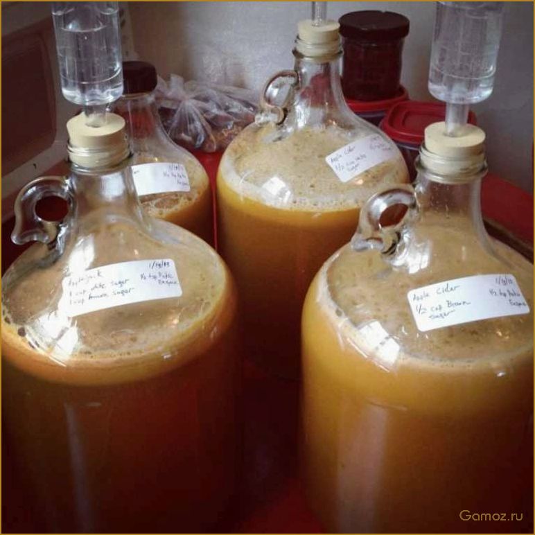 Как приготовить вкусное и ароматное яблочное вино в домашних условиях