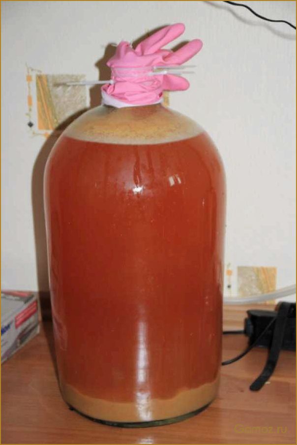 Как приготовить вкусное и ароматное яблочное вино в домашних условиях