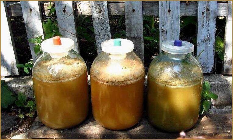 Как приготовить вкусное и ароматное яблочное вино в домашних условиях