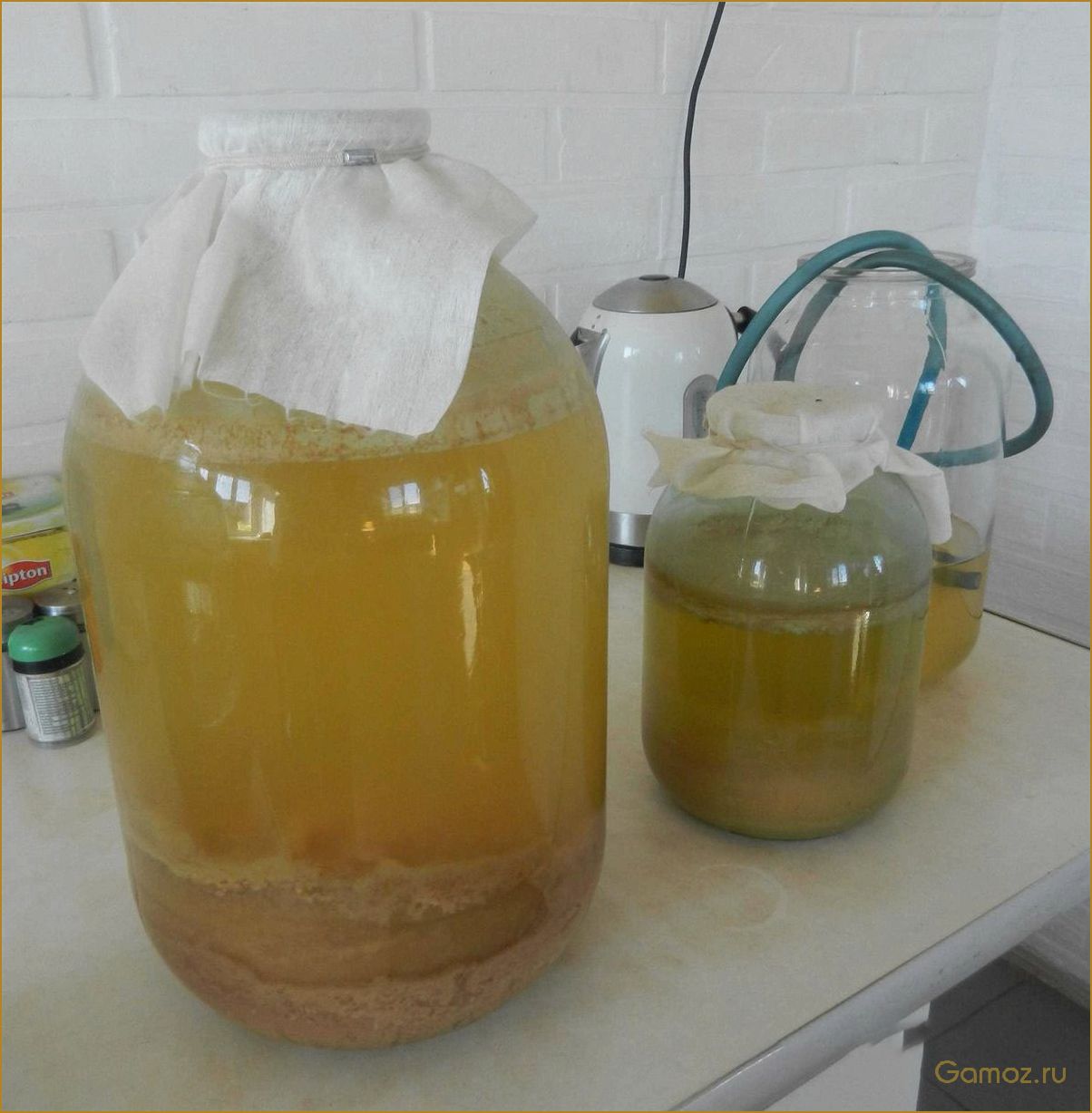 Как приготовить вкусное и ароматное яблочное вино в домашних условиях