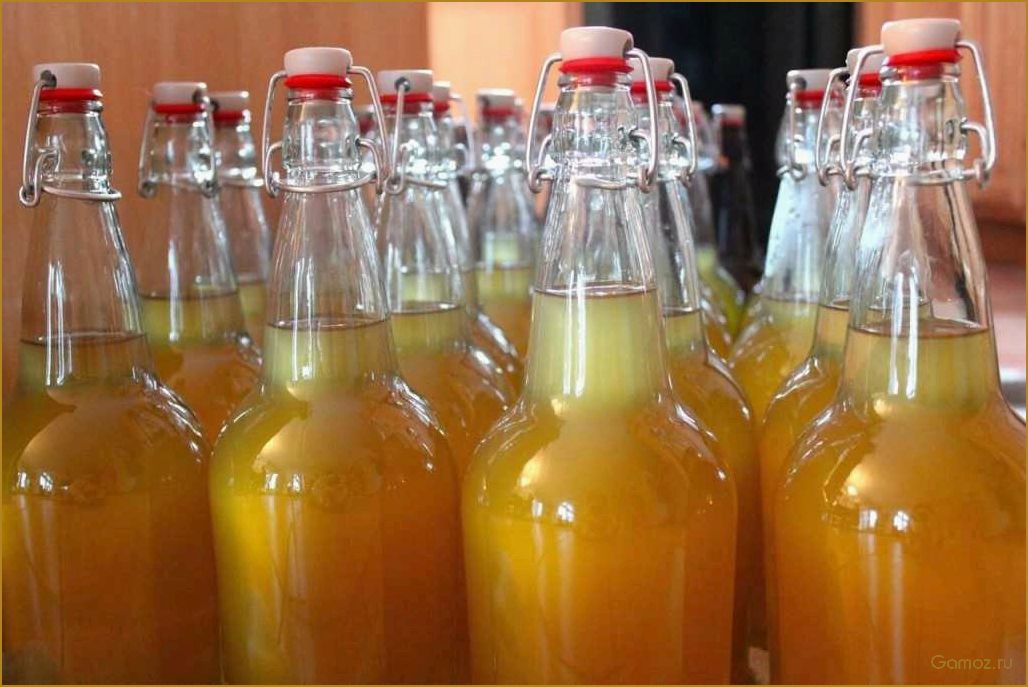 Как приготовить вкусное и ароматное яблочное вино в домашних условиях