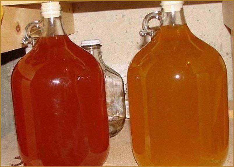 Как приготовить вкусное и ароматное яблочное вино в домашних условиях