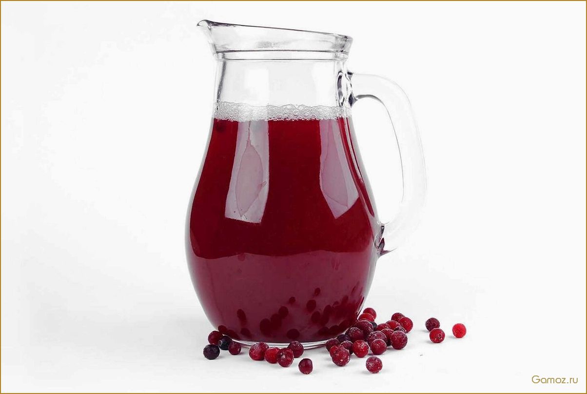 Ягодный морс — вкусное и полезное напиток для всей семьи