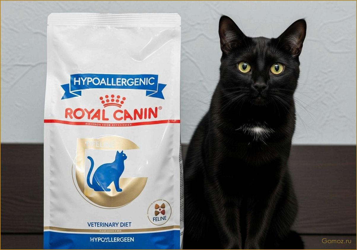 Выбор гипоаллергенного корма для кошек с чувствительным пищеварением и кожными реакциями